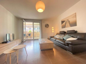 Centre-ville Annecy, 2 ch, animaux admis, parking privé - FR-1-432-91